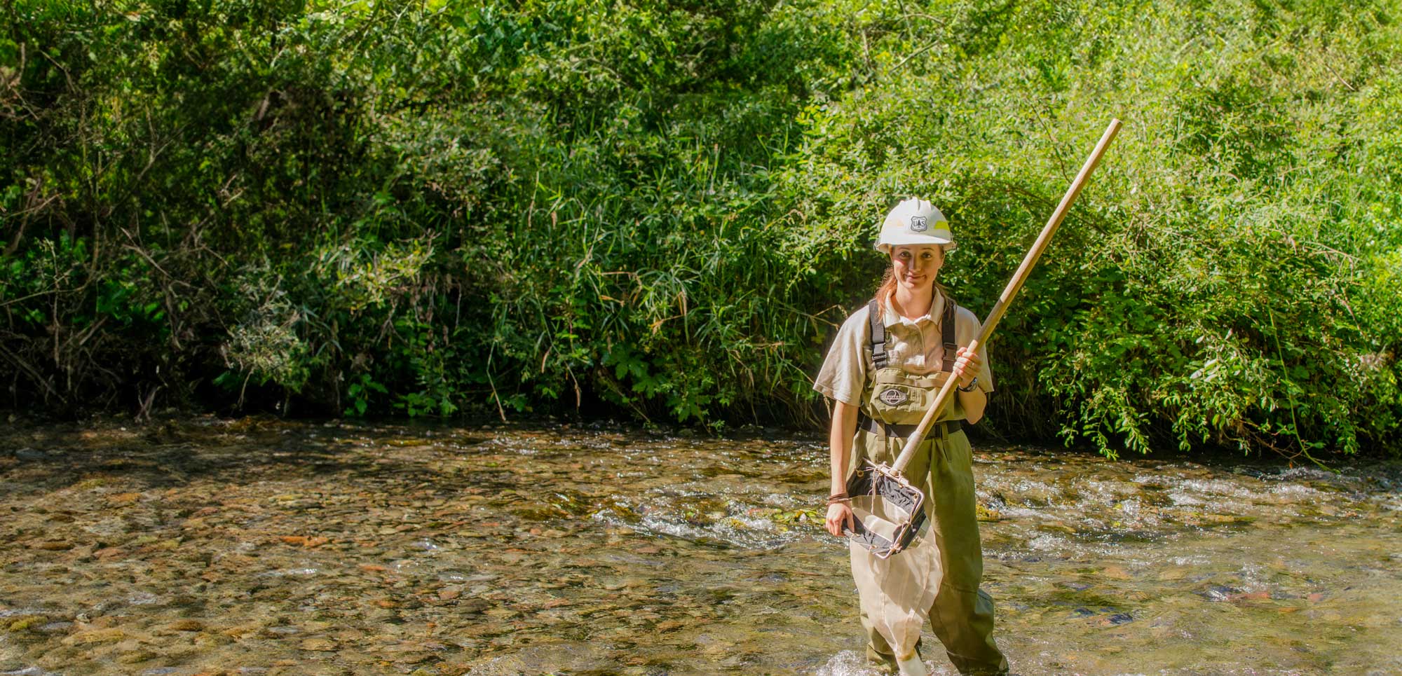 hydrologist expert